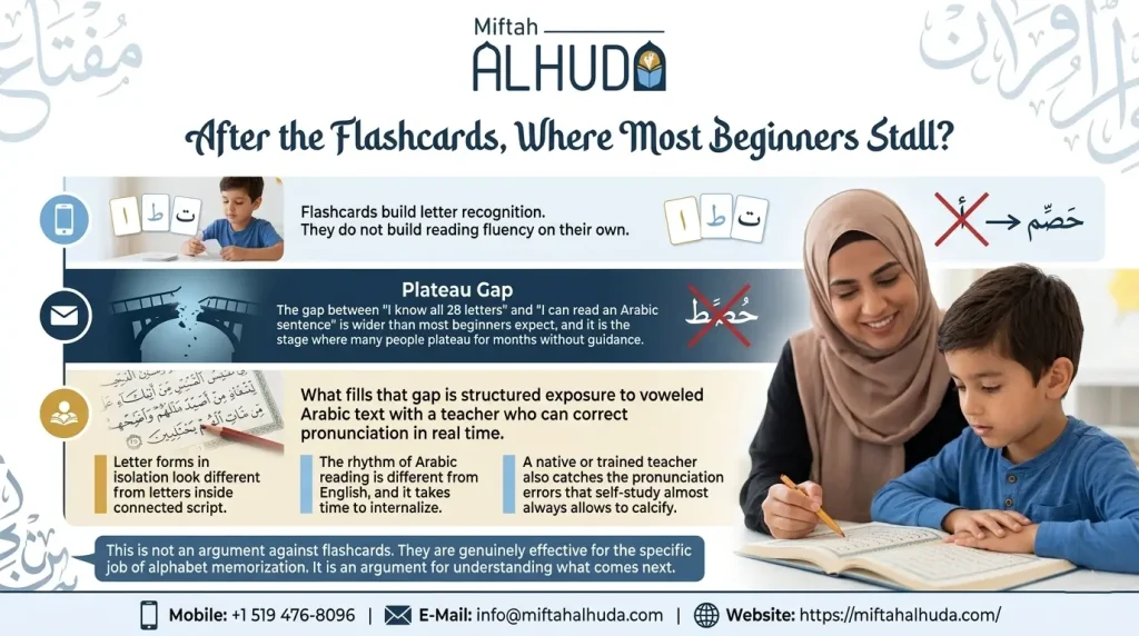 Flashcards
